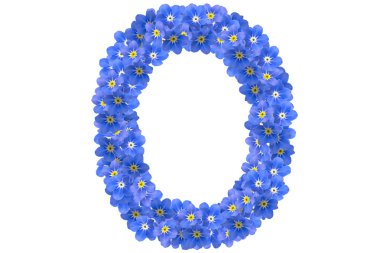 Forget-me-not clipart