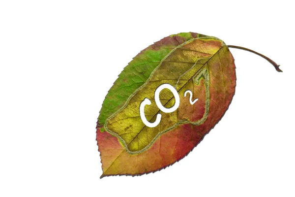 Dióxido de carbono — Fotografia de Stock