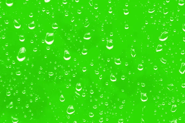 stock image Water drops