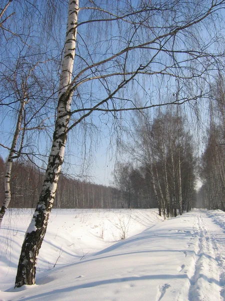 Winter road — Stock Photo, Image