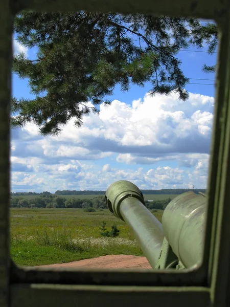 Kanon in een rustige veld — Stockfoto