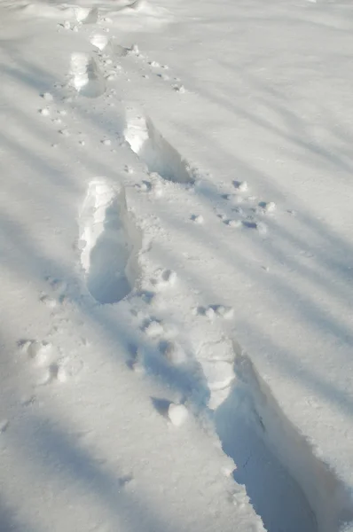 Huellas en la nieve —  Fotos de Stock