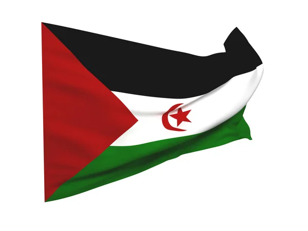 서 사하라의 깃발 — 스톡 사진