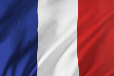 French Flag Waving In The Wind