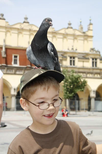 Chłopiec jest karmienie ptaków — Zdjęcie stockowe