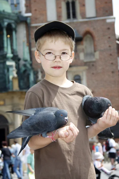 Le garçon nourrit les oiseaux — Photo