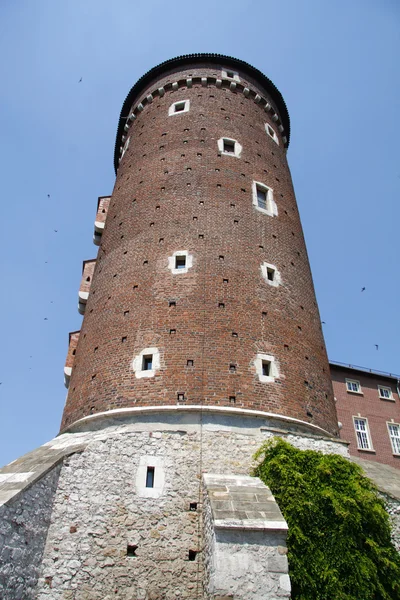 Torre do Castelo Wawel. Cracóvia. Polónia — Fotografia de Stock