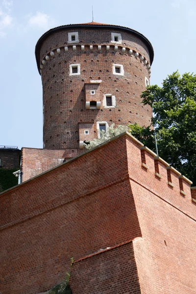 Věž hradu Wawel. Krakov. Polsko — Stock fotografie