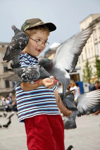 stock image Boy is feeding the birds