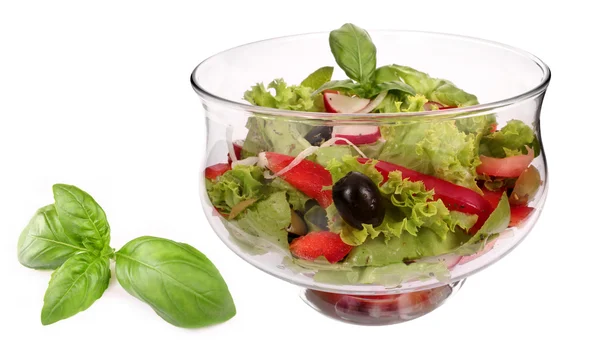 Salad bowl with fresh salad and tomato — Stock Photo, Image
