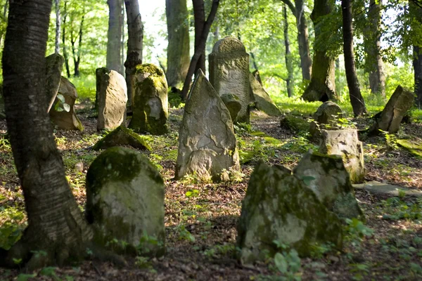 stock image Old Jewish cemetery