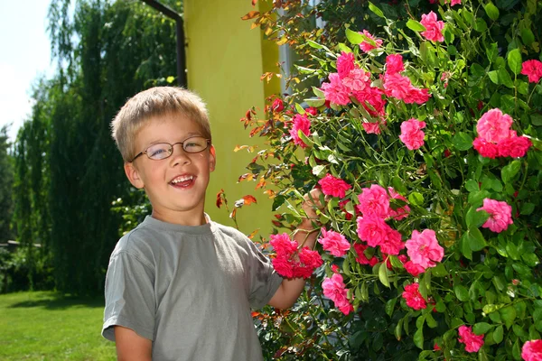 Мальчик с розами — стоковое фото
