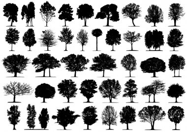 Black tree silhouettes clipart