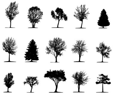 Trees (vector) clipart