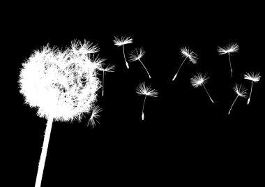 Dandelion in the wind clipart