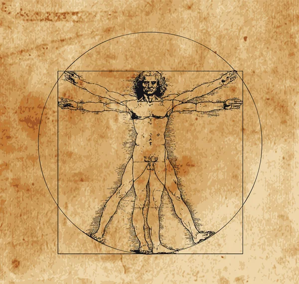 Vitruvian man — Stock Vector