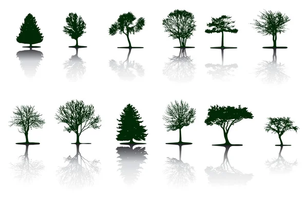 Деревья (вектор) ) — стоковый вектор
