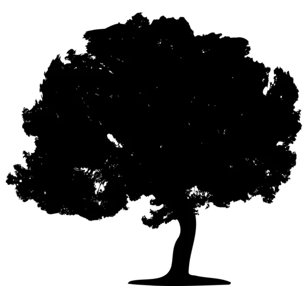 Baum (Vektor) — Stockvektor