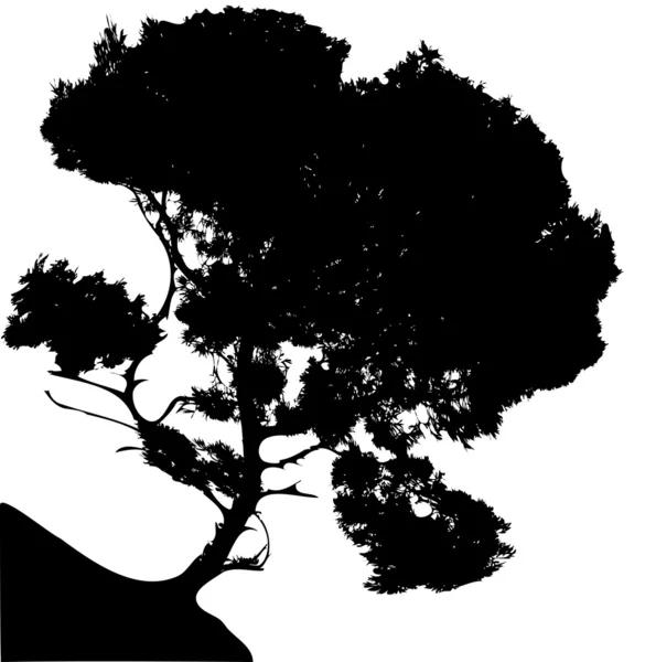 Árvore (vector ) — Vetor de Stock