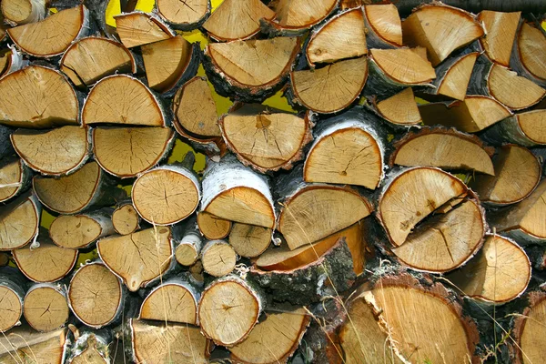 Stacked winter logs for heating on yello — Stock Photo, Image