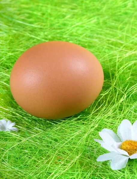 Ovos de Páscoa coloridos pintados — Fotografia de Stock
