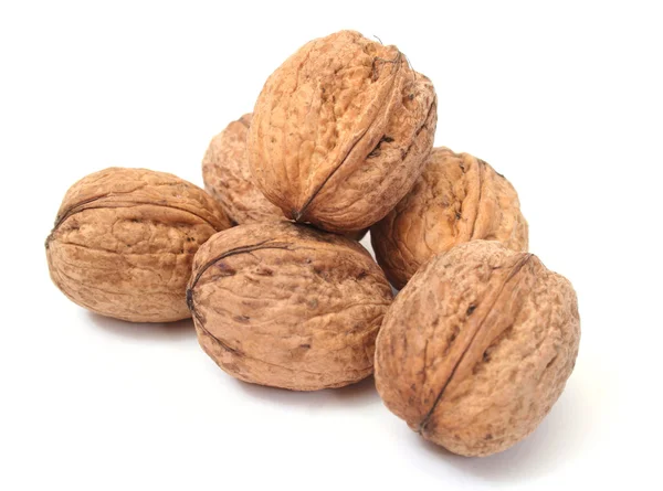 stock image Walnut in closeup