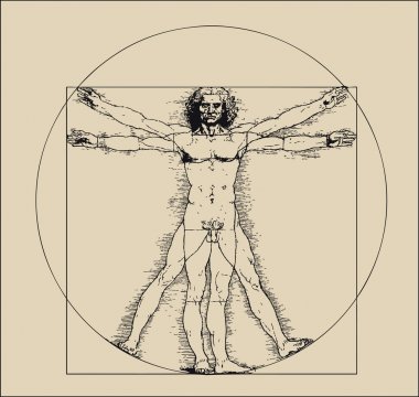 Vitruvian man clipart