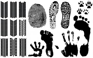 A collection of Vector Fingerprints clipart