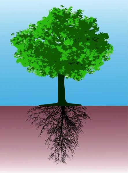 Vektorträd — Stock vektor