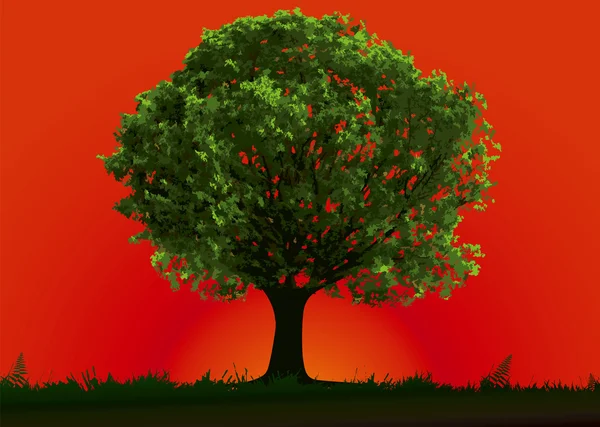 树和红色夕阳 — 图库矢量图片