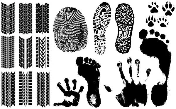Una colección de Vector Fingerprints — Vector de stock