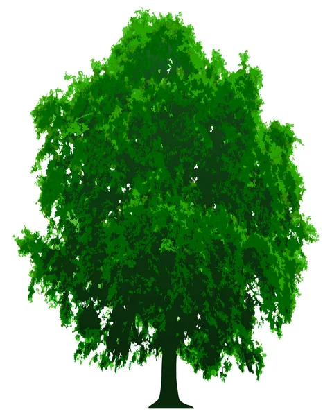 Vektorträd — Stock vektor