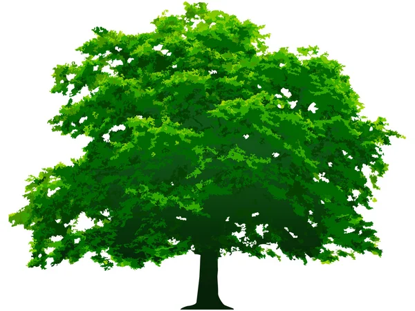 Διανυσματικό δέντρο — Διανυσματικό Αρχείο