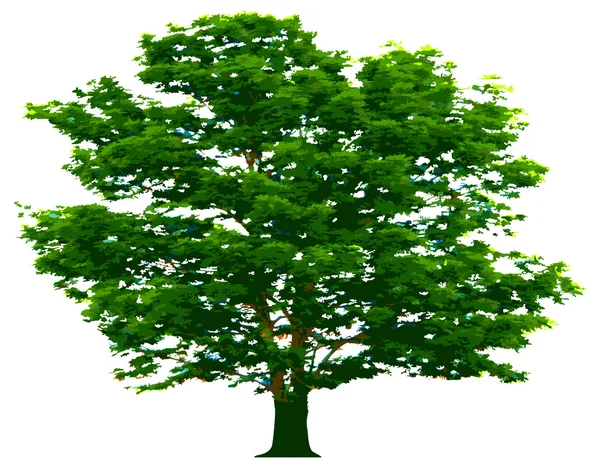 Διανυσματικό δέντρο — Διανυσματικό Αρχείο