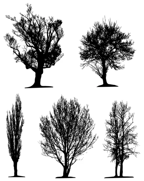 Silhouette di albero nero — Vettoriale Stock