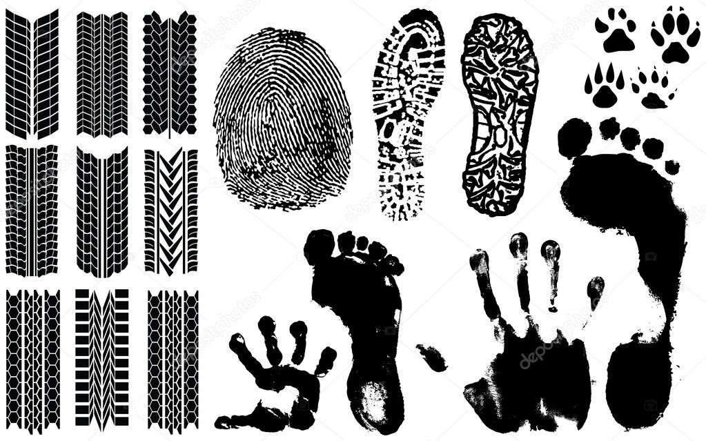 A collection of Vector Fingerprints