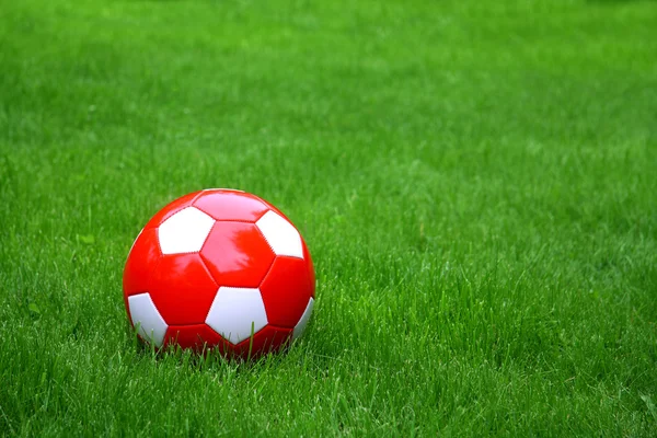 Спортивный мяч над травой — стоковое фото