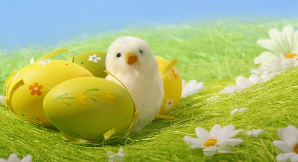 Huevo de Pascua colorido pintado — Foto de Stock