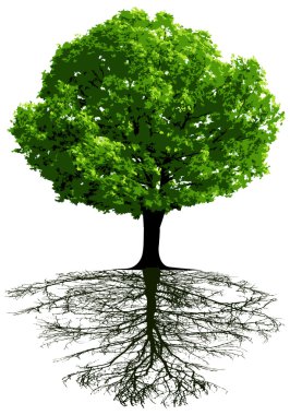 Trees with roots clipart