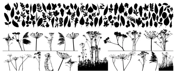 Plantas y hojas vectoriales — Archivo Imágenes Vectoriales