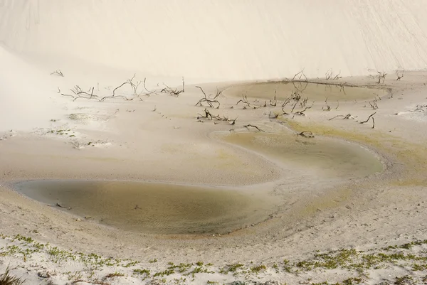 Almost dry pond in desert — Stock Photo, Image
