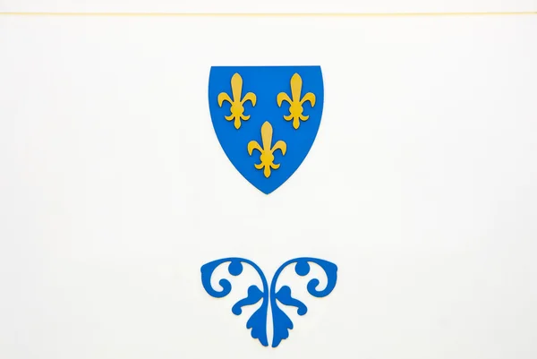 Emblema azul y amarillo —  Fotos de Stock