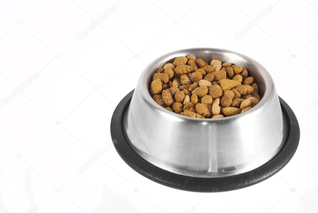 Dog-food in a bowl