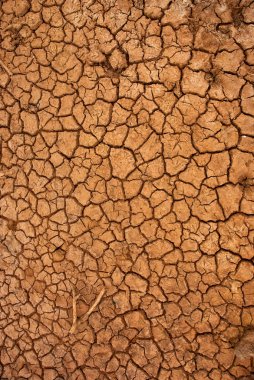 Dry cracked ground surface clipart
