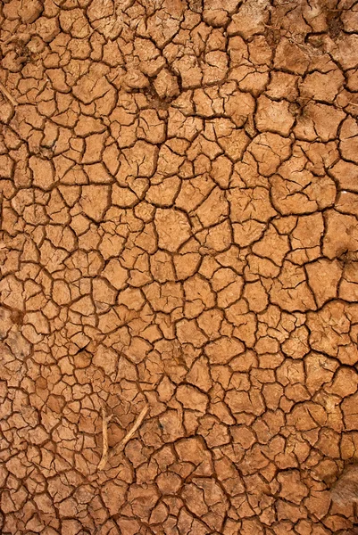 Superfície seca do solo rachado — Fotografia de Stock