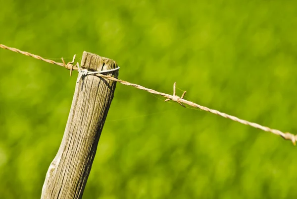 Old fence pole with green background — Stock Photo, Image