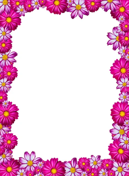 stock image Pink flower frame