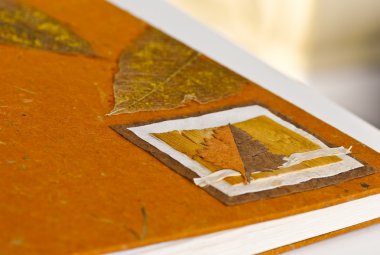 kitap kapağı kurutulmuş yaprakları ile