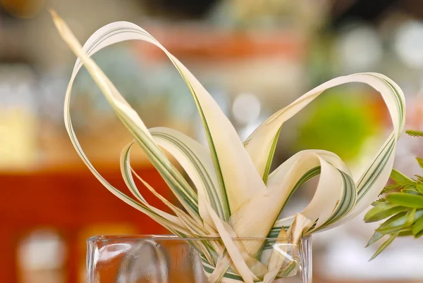 Protea bladeren als decoratie — Stockfoto