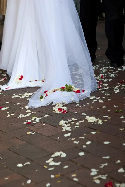 Robe de mariée avec pétales — Photo